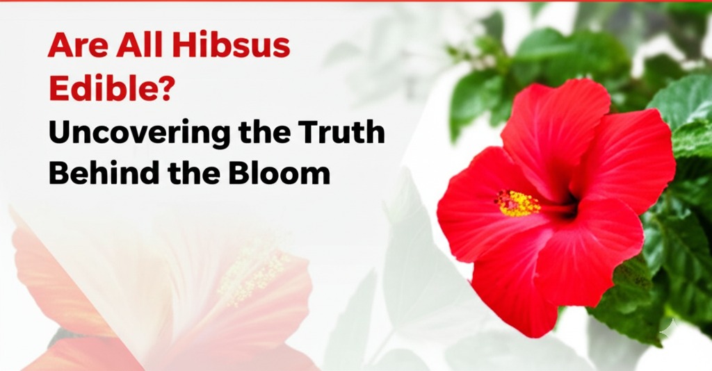 are all hibiscus flowers edible