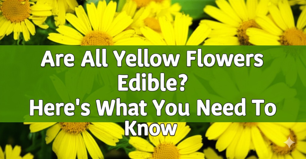 are all yellow flowers edible