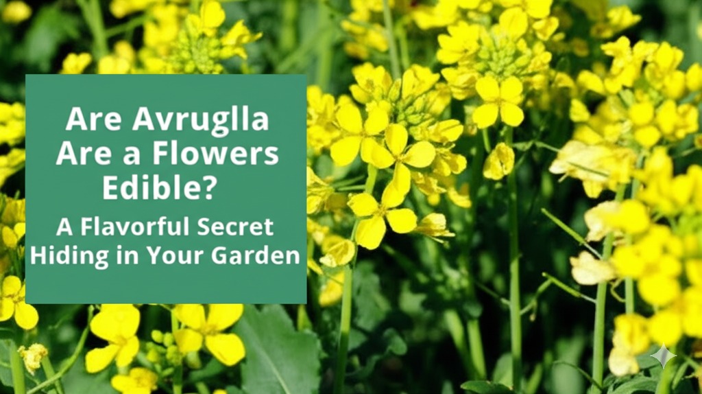 are arugula flowers edible